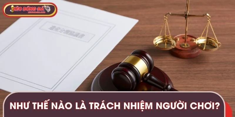 Trách nhiệm người chơi là các quy định quan trọng mà bạn cần nhớ